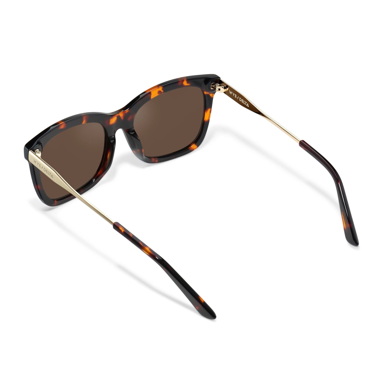 Elara Tortoise