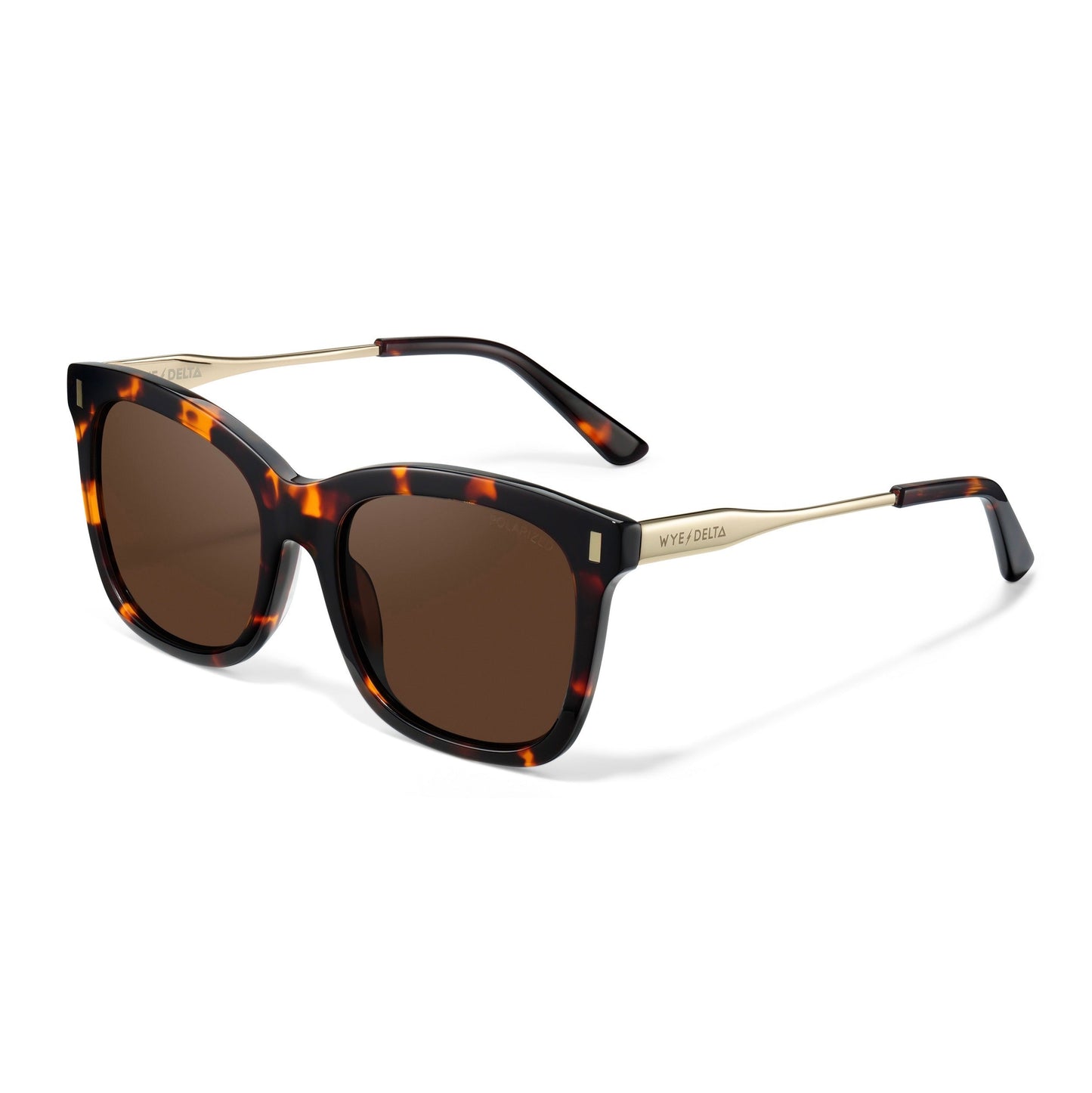 Elara Tortoise