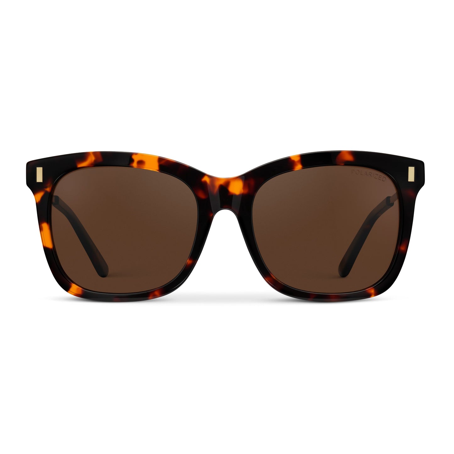 Elara Tortoise