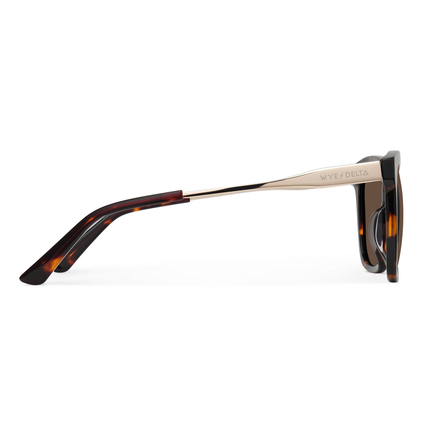 Elara Tortoise